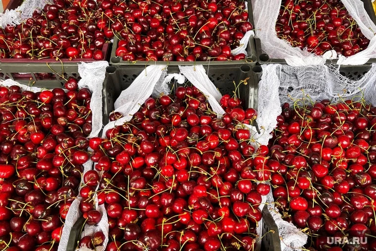 Mon Cherry, de kersenautomaat