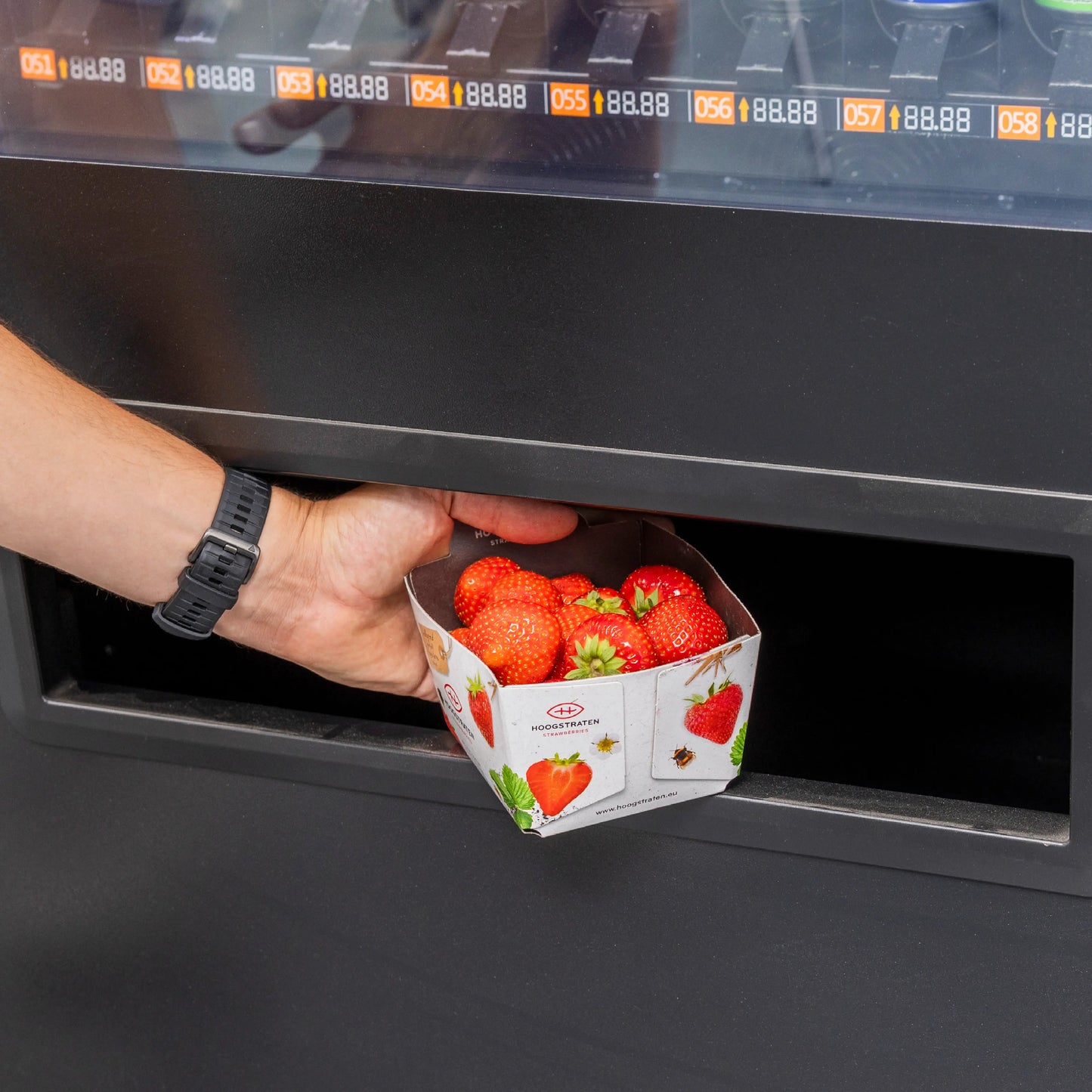 DGA Lynova 10 Touch 21,5"